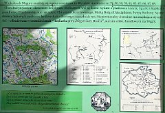 11_iP_190610_IMG_4014