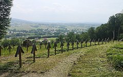 062_p20_IMG_20230621_142411