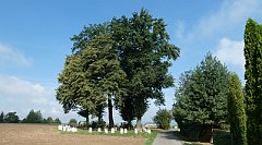 Cmentarz_Wojenny_165_Bistuszowa