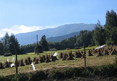 2642_Zawoja_na_Babia_Gore