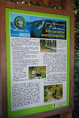 2655_Gospodarka_lesna