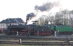 5572_Wolsztyn