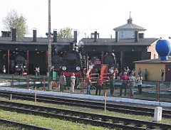 5595_Krysia_Wolsztyn