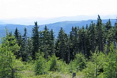 11980_Magurka_Radziechowska