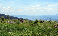 12020_Kotlina_Zywiecka