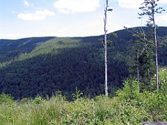 12056_Malinowska_Skala