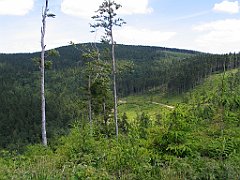 12057_Malinowska_Skala