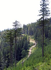 12073_Przelecz_Malinowska