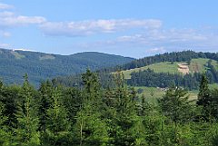 12160_Malinowska_Skala