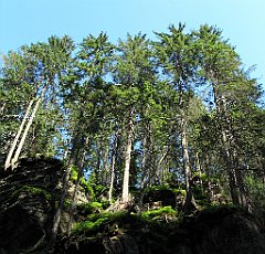 12281_Wodospad_Kamienczyka