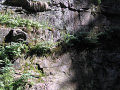 12325_Wodospad_Kamienczyka