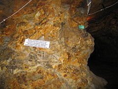 13223_Obiekt_Wlodarz