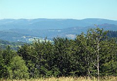 13494_Malinowska_Skala