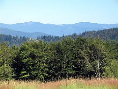 13495_Magurka_Wislana