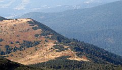 15171a_Przelecz_Brona