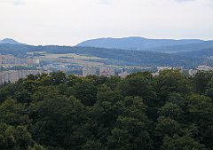 IMG_23944_cr