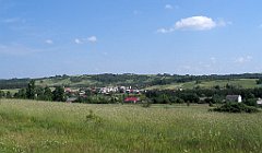 IMG_28984_cr