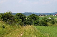 IMG_29048_cr