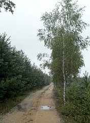 IMG_x17567_X44_P07290009_cr