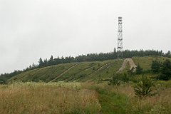 IMG_x17567_X44_P07290015_cr