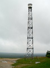 IMG_x17567_X44_P07290029_cr