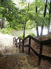 IMG_x17567_X44_P07290040_cr