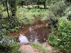 IMG_x17567_X44_P07290054_cr