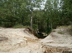 IMG_x17567_X44_P07290062_cr