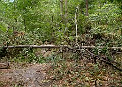 IMG_x17690_X44_P08060036_cr