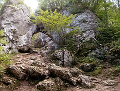 IMG_x17690_X44_P08060040_cr