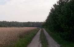 IMG_x17690_X44_P08060043_cr