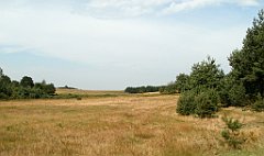 IMG_x17690_X44_P08060047_cr