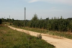 IMG_x17690_X44_P08060051_cr