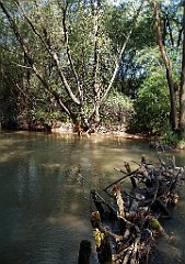 IMG_x18064_X44_P09010480_cr