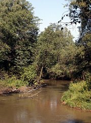 IMG_x18064_X44_P09010490_cr