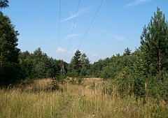 IMG_x18064_X44_P09010492_cr