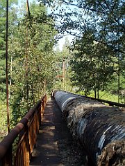 IMG_x18064_X44_P09010499_cr