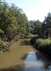 IMG_x18064_X44_P09010504_cr