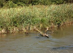 IMG_x18064_X44_P09010520_cr