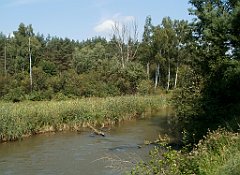 IMG_x18064_X44_P09010521_cr