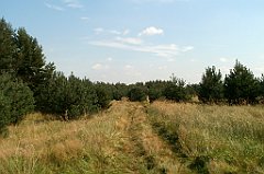 IMG_x18064_X44_P09010527_cr