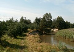 IMG_x18064_X44_P09010528_cr