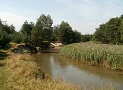 IMG_x18064_X44_P09010529_cr