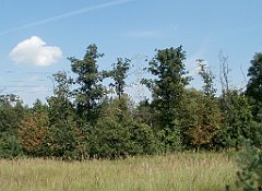 IMG_x18064_X44_P09010548_cr