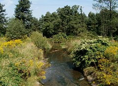 IMG_x18064_X44_P09010553_cr