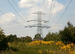 IMG_x18064_X44_P09010569_cr