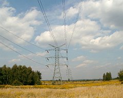 IMG_x18064_X44_P09010594_cr