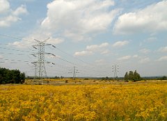 IMG_x18064_X44_P09010598_cr