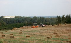 IMG_x18064_X44_P09010624_cr