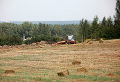 IMG_x18064_X44_P09010626_cr